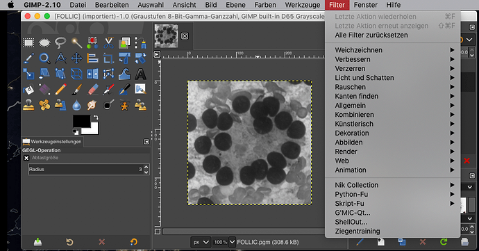 Problem With Gmic G Mic Discuss Pixls Us